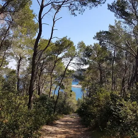 House Bistrana * ヴェラ・ルカ