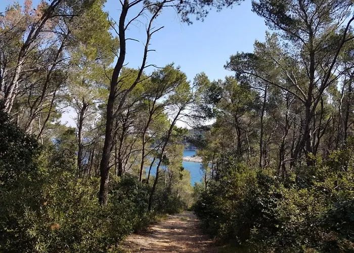 House Bistrana * 벨라루카